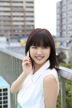 兰陵王妃小说